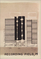Interface: Recording Field, H (DVD)