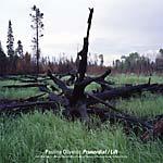 Pauline Oliveros: Primordial / Lift (2 lp set)
